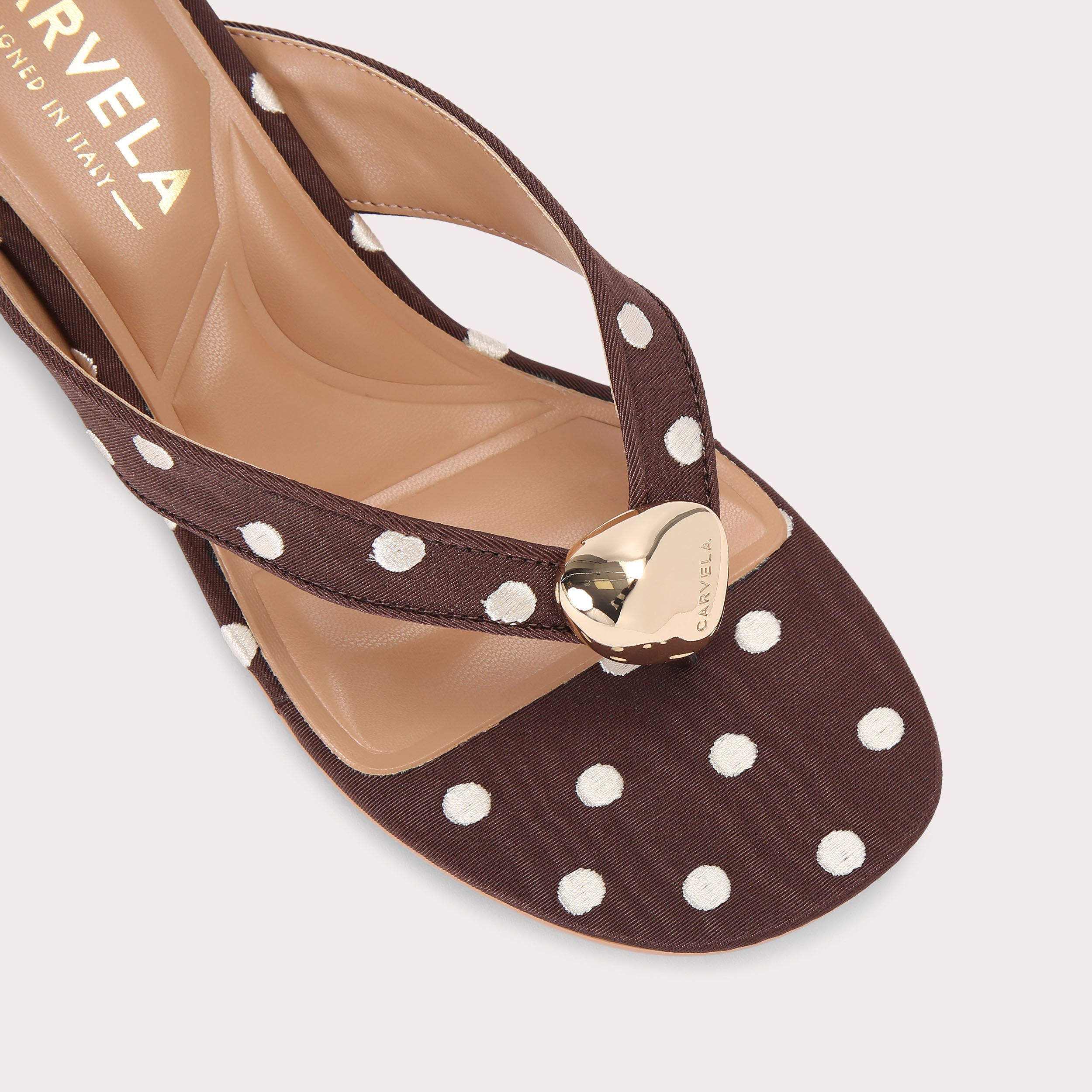 5896730609
